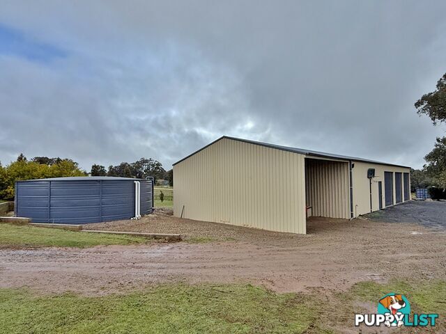 403 Spring Creek Road YOUNG NSW 2594