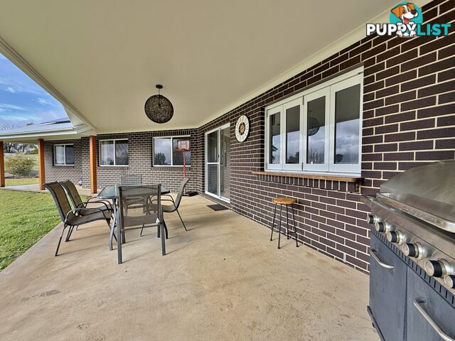 403 Spring Creek Road YOUNG NSW 2594