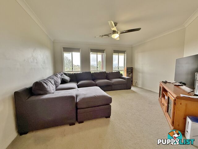 403 Spring Creek Road YOUNG NSW 2594