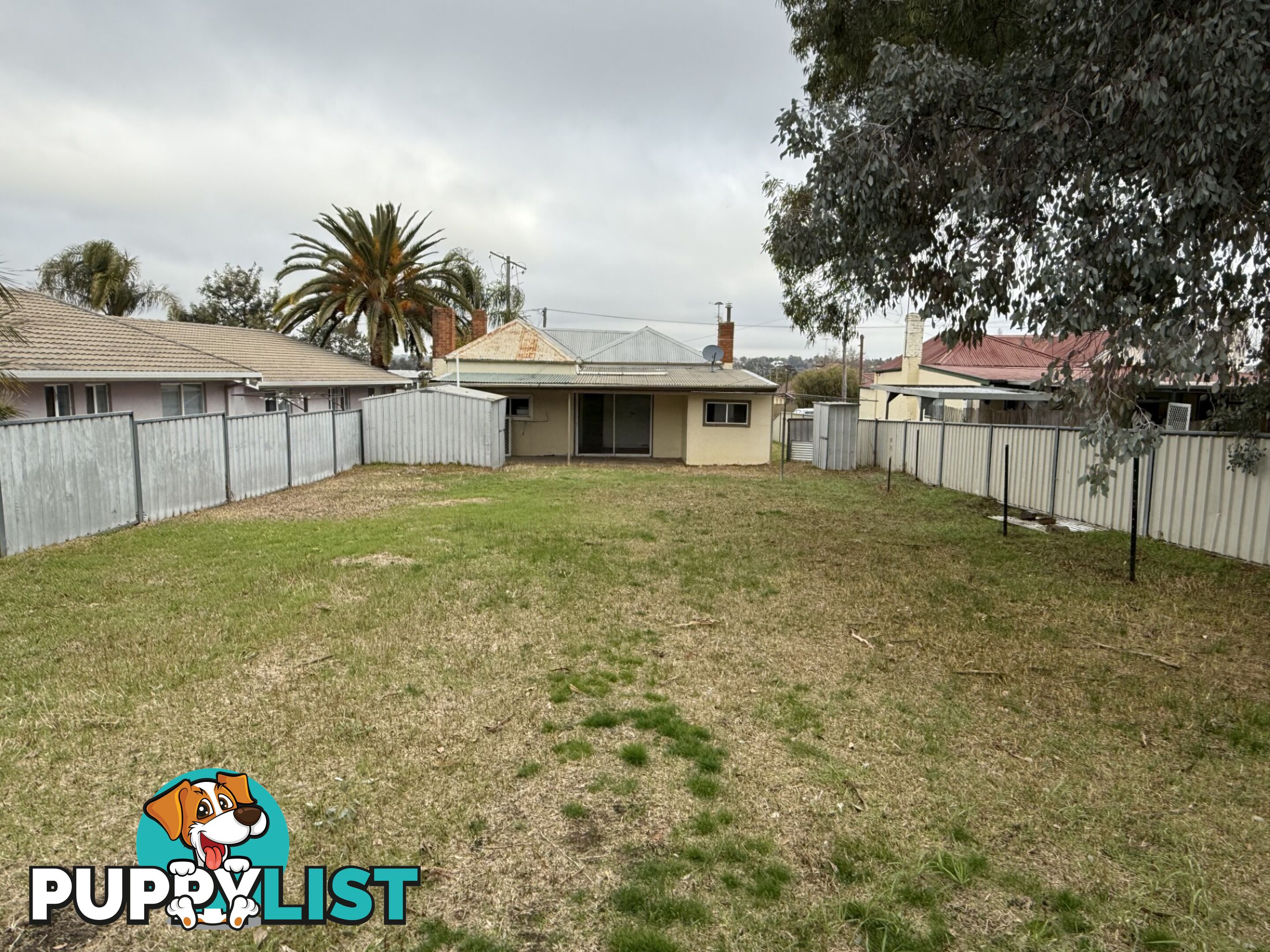 79 Edwards Street YOUNG NSW 2594