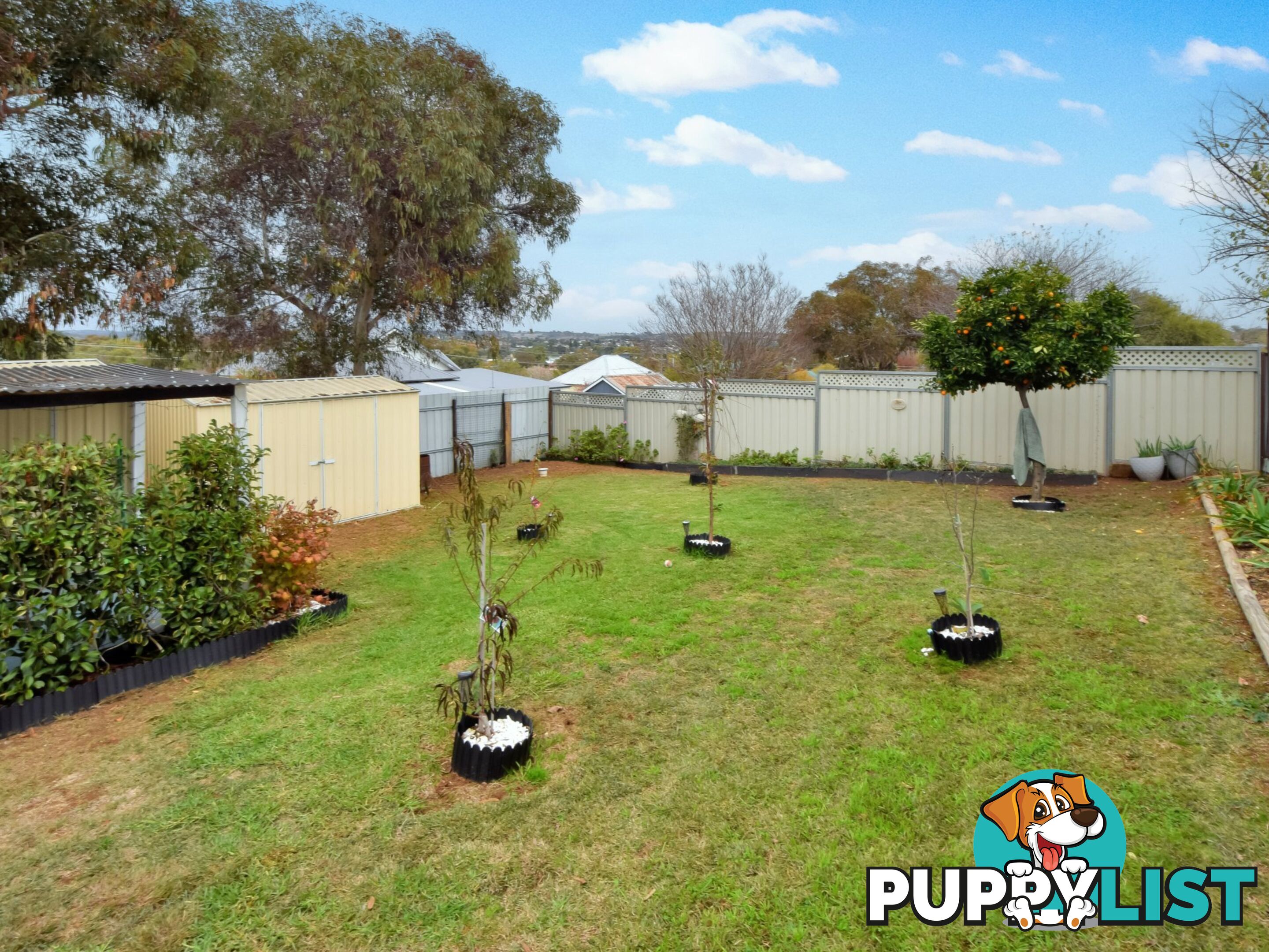 17 Taylor Rd YOUNG NSW 2594