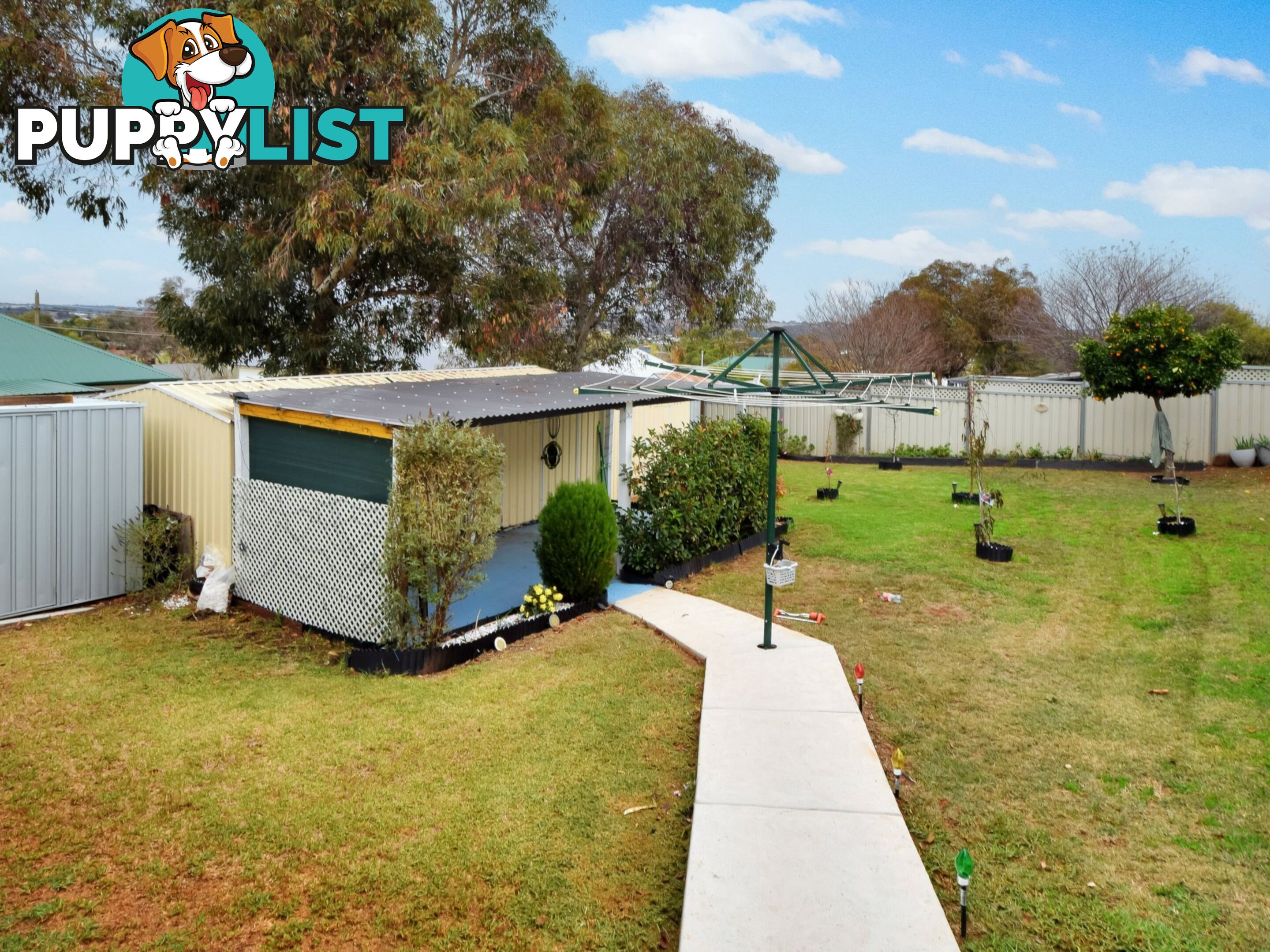 17 Taylor Rd YOUNG NSW 2594