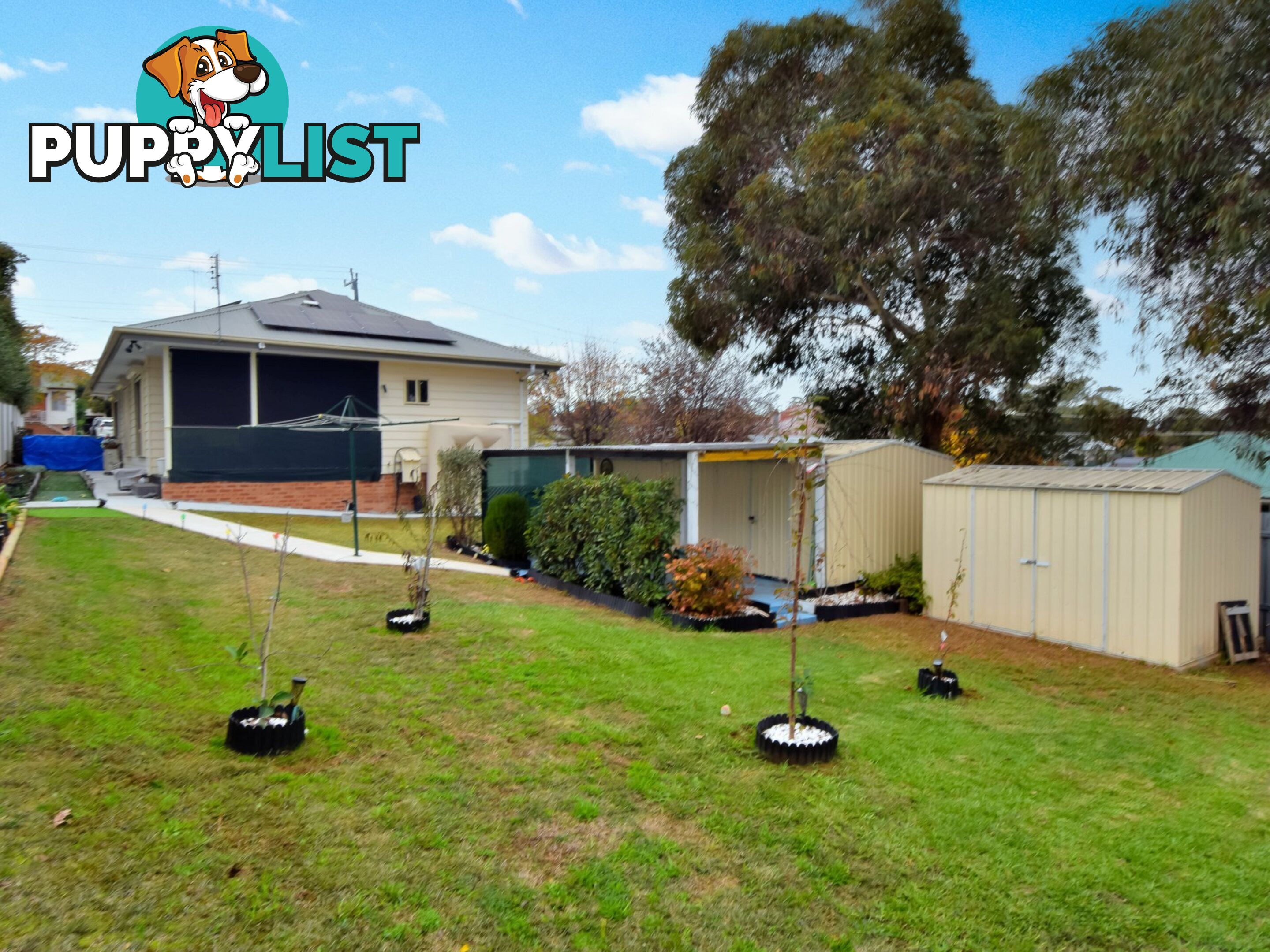 17 Taylor Rd YOUNG NSW 2594