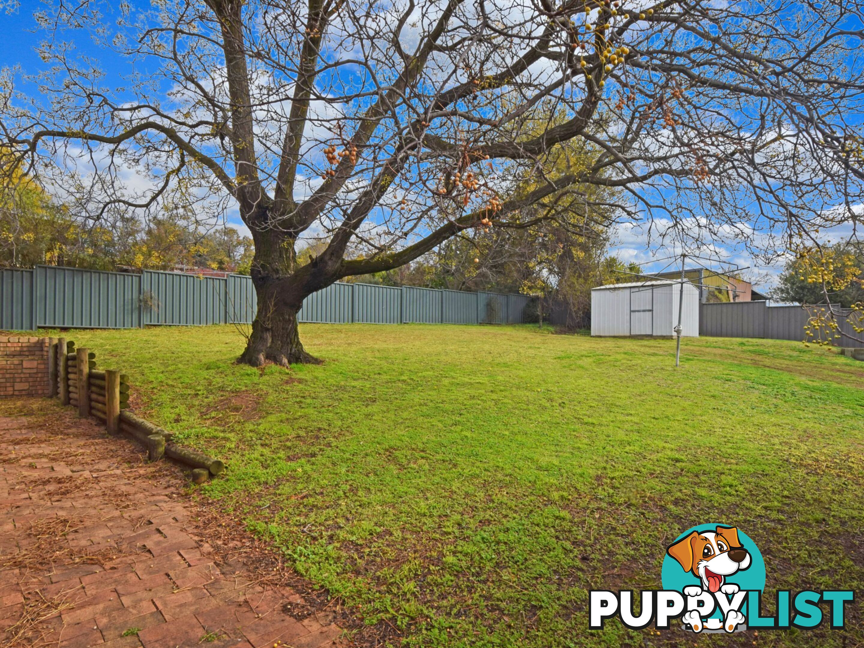 33 Cowper Street YOUNG NSW 2594