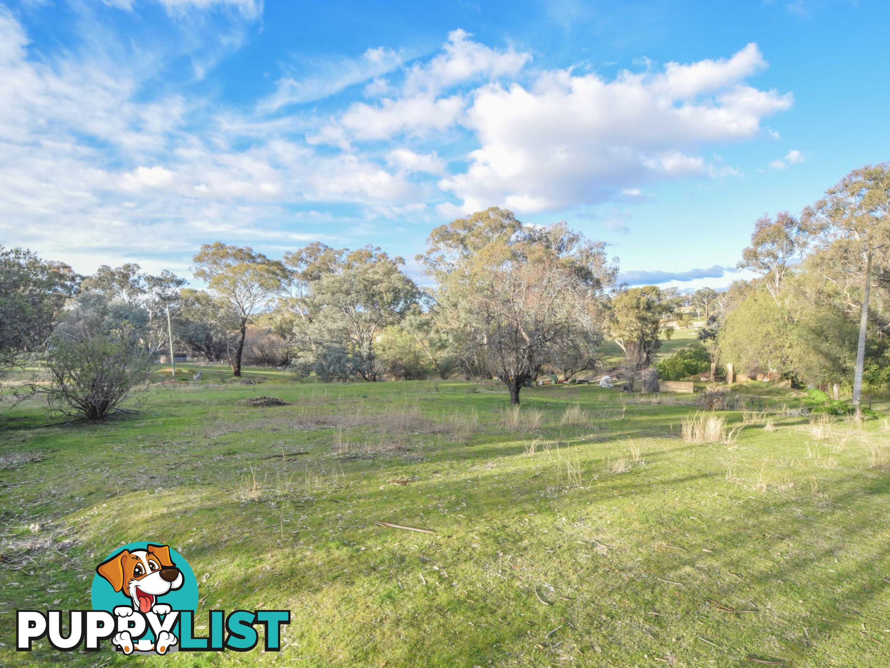 21 Dairymans Lane YOUNG NSW 2594
