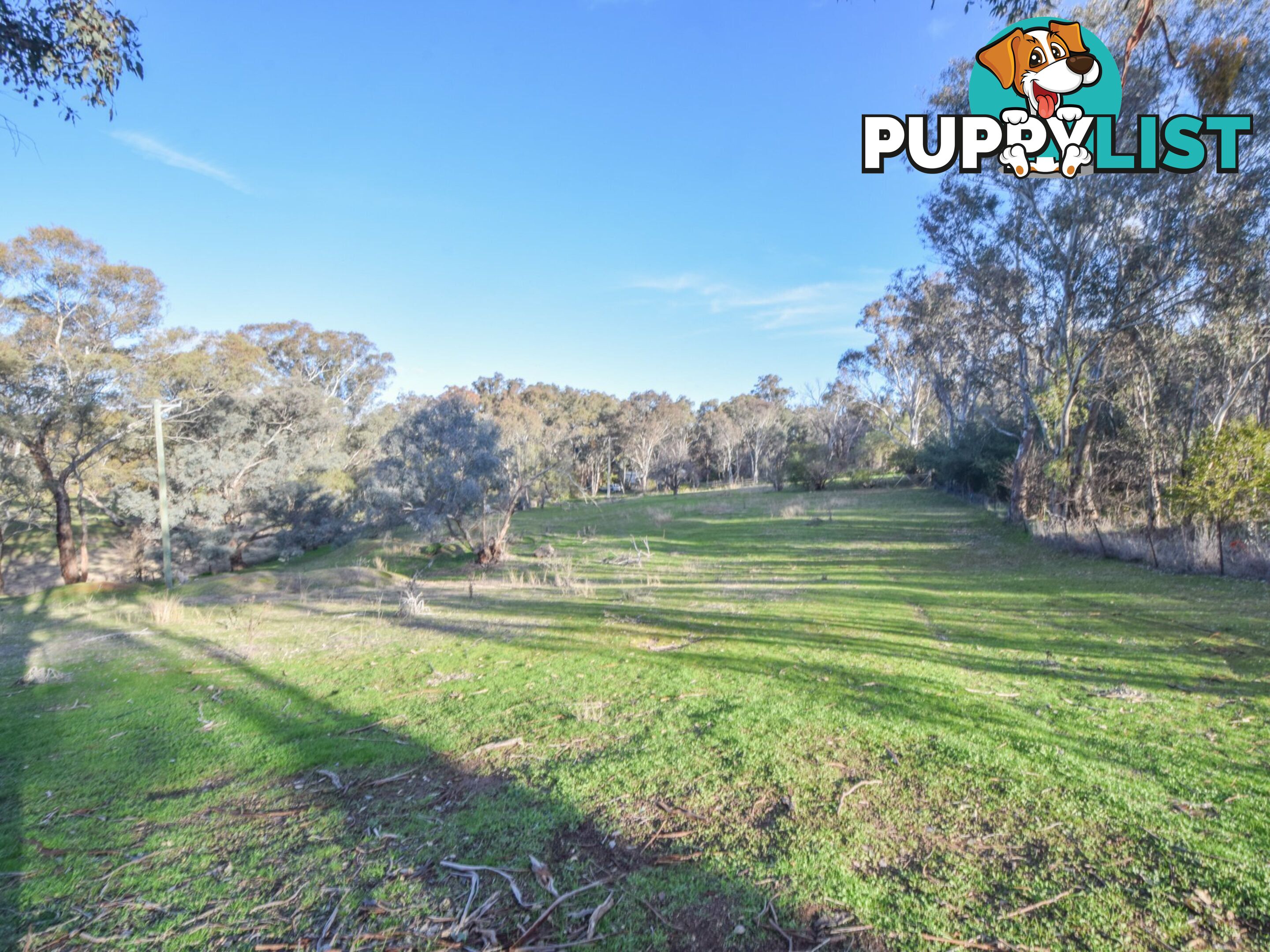 21 Dairymans Lane YOUNG NSW 2594