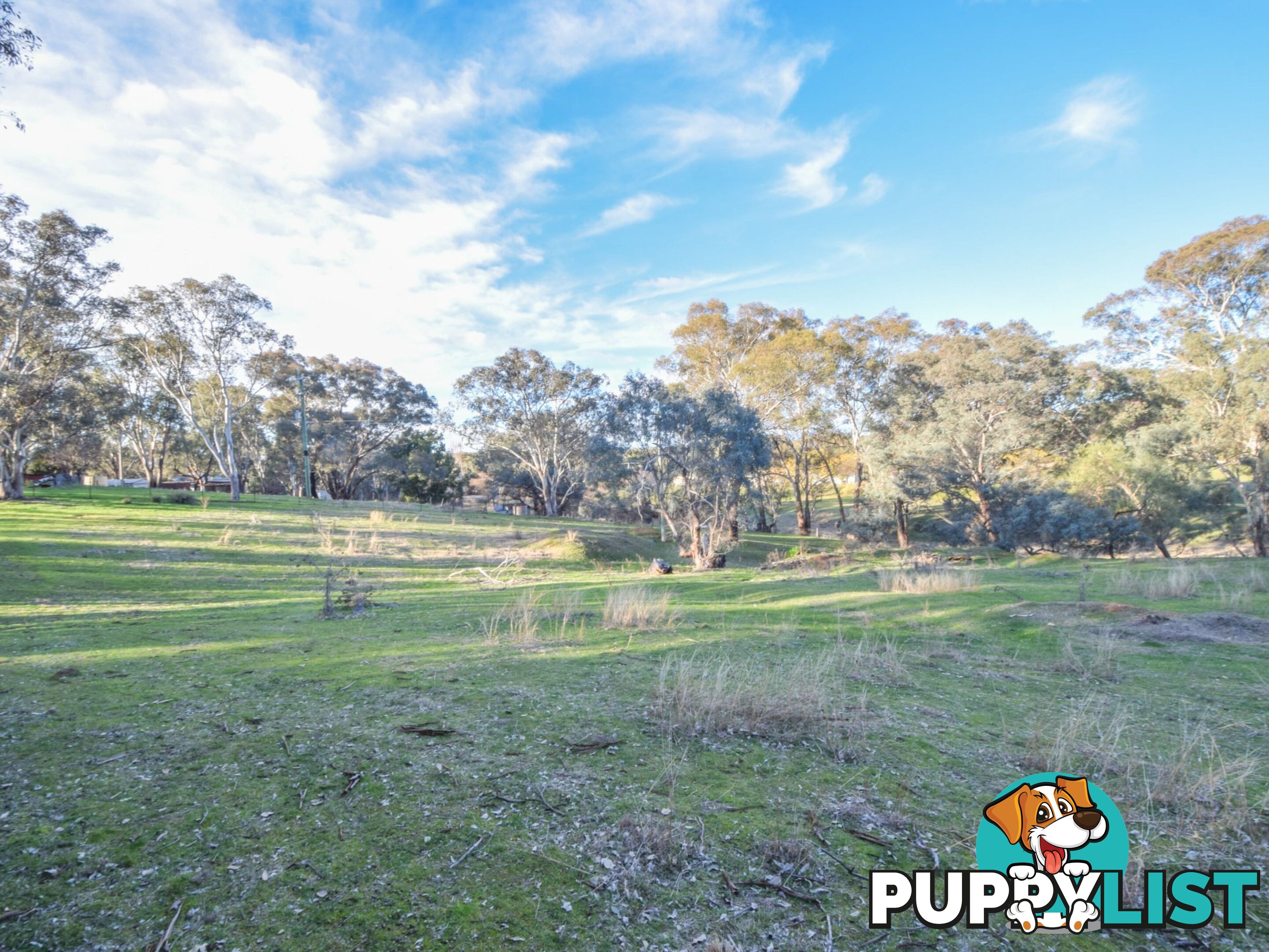 21 Dairymans Lane YOUNG NSW 2594