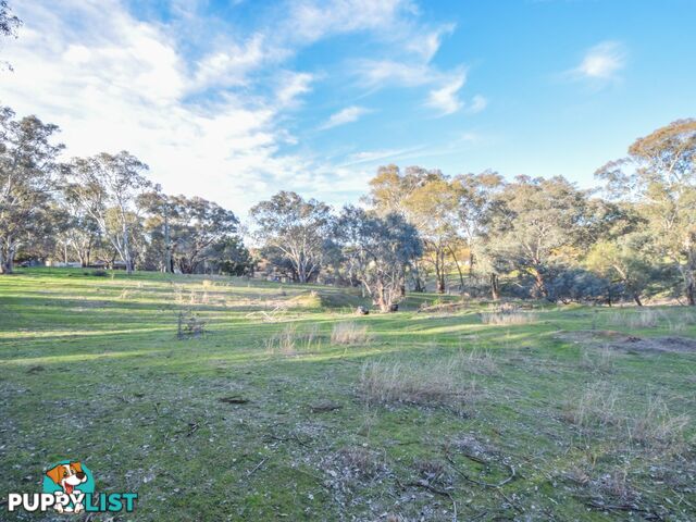 21 Dairymans Lane YOUNG NSW 2594