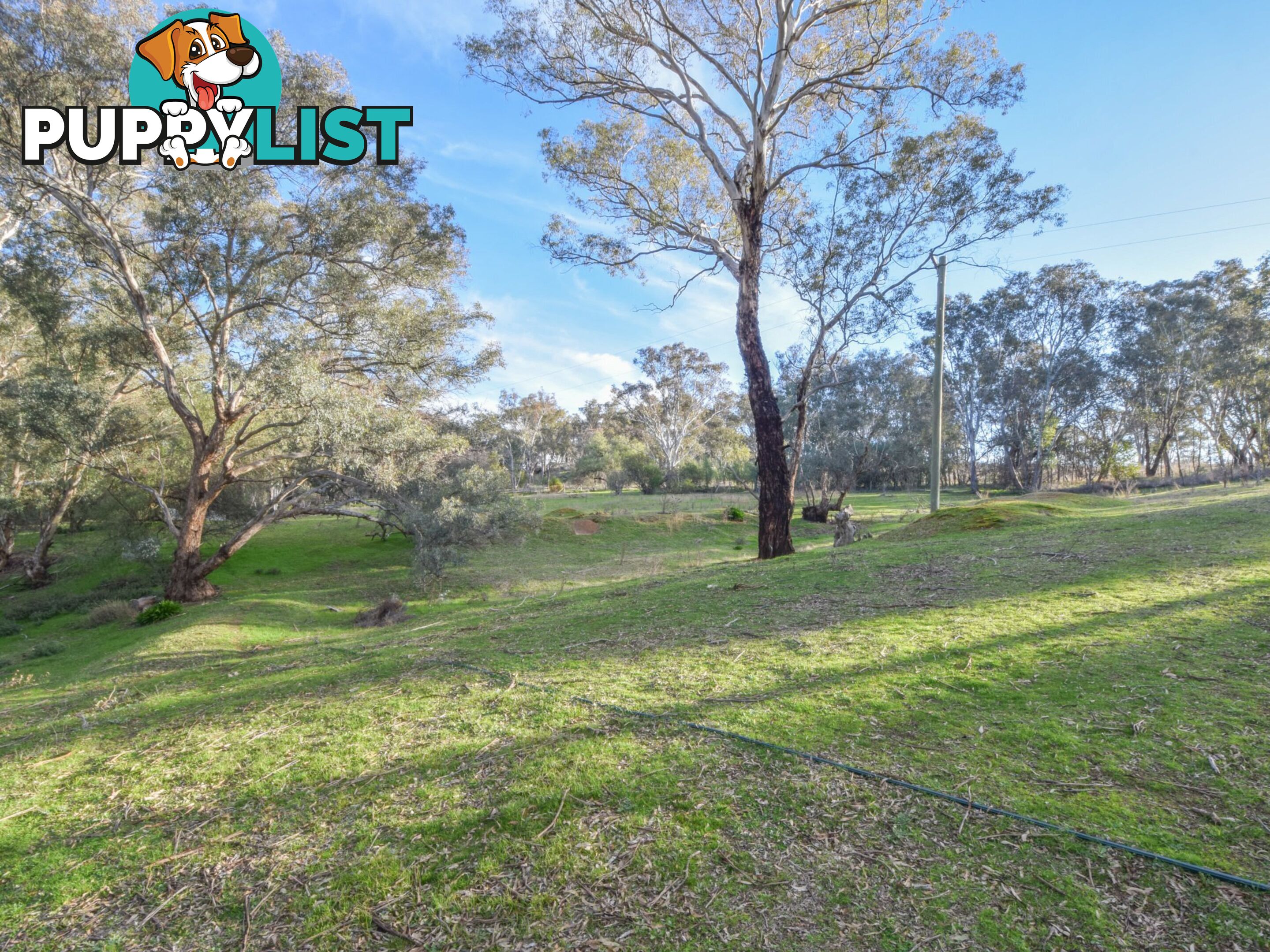 21 Dairymans Lane YOUNG NSW 2594