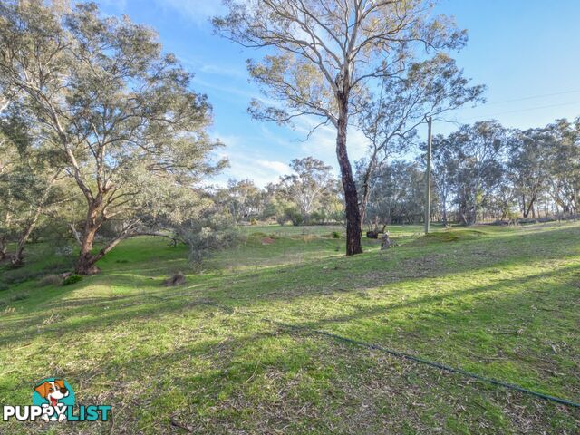 21 Dairymans Lane YOUNG NSW 2594