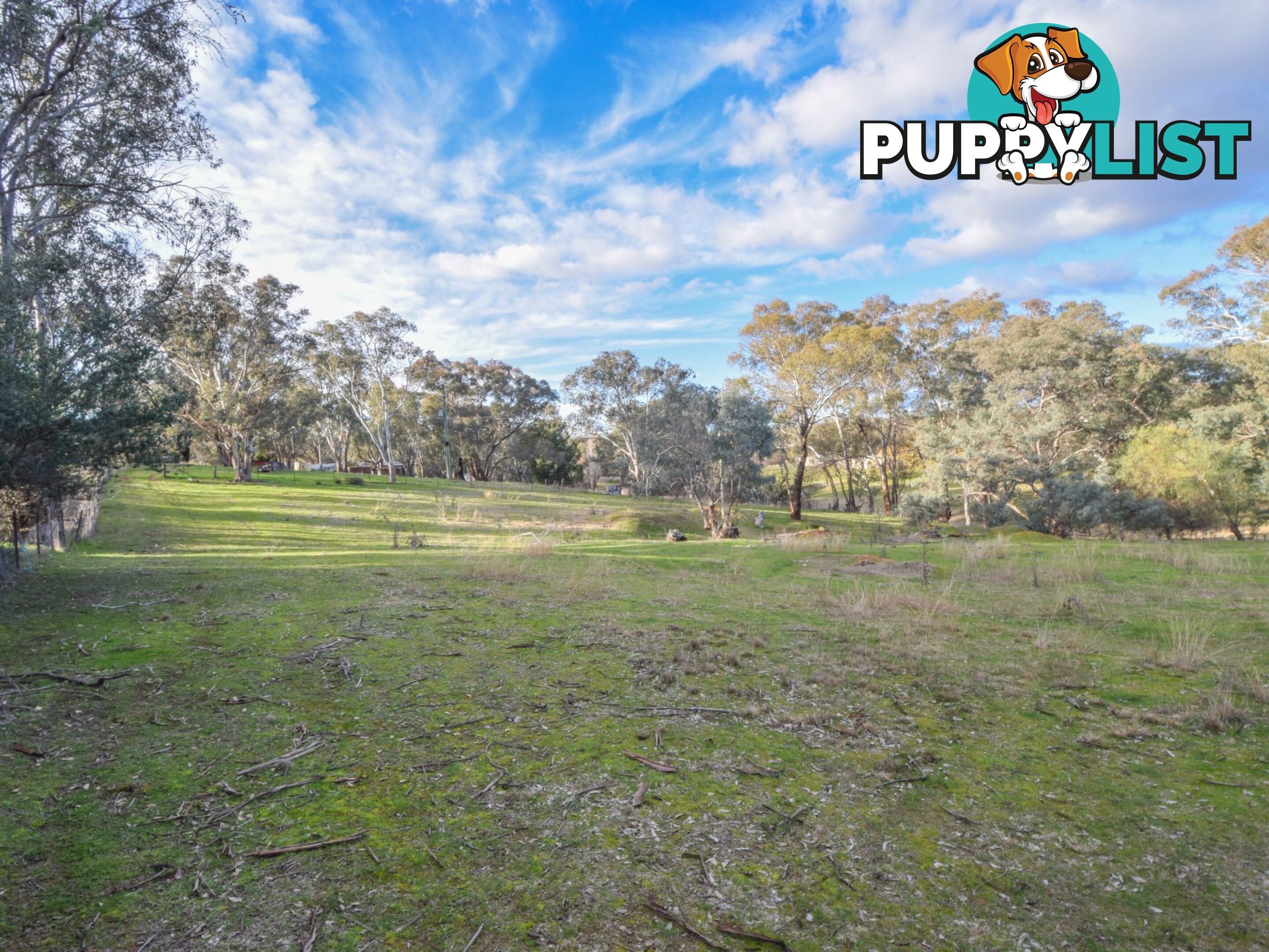 21 Dairymans Lane YOUNG NSW 2594