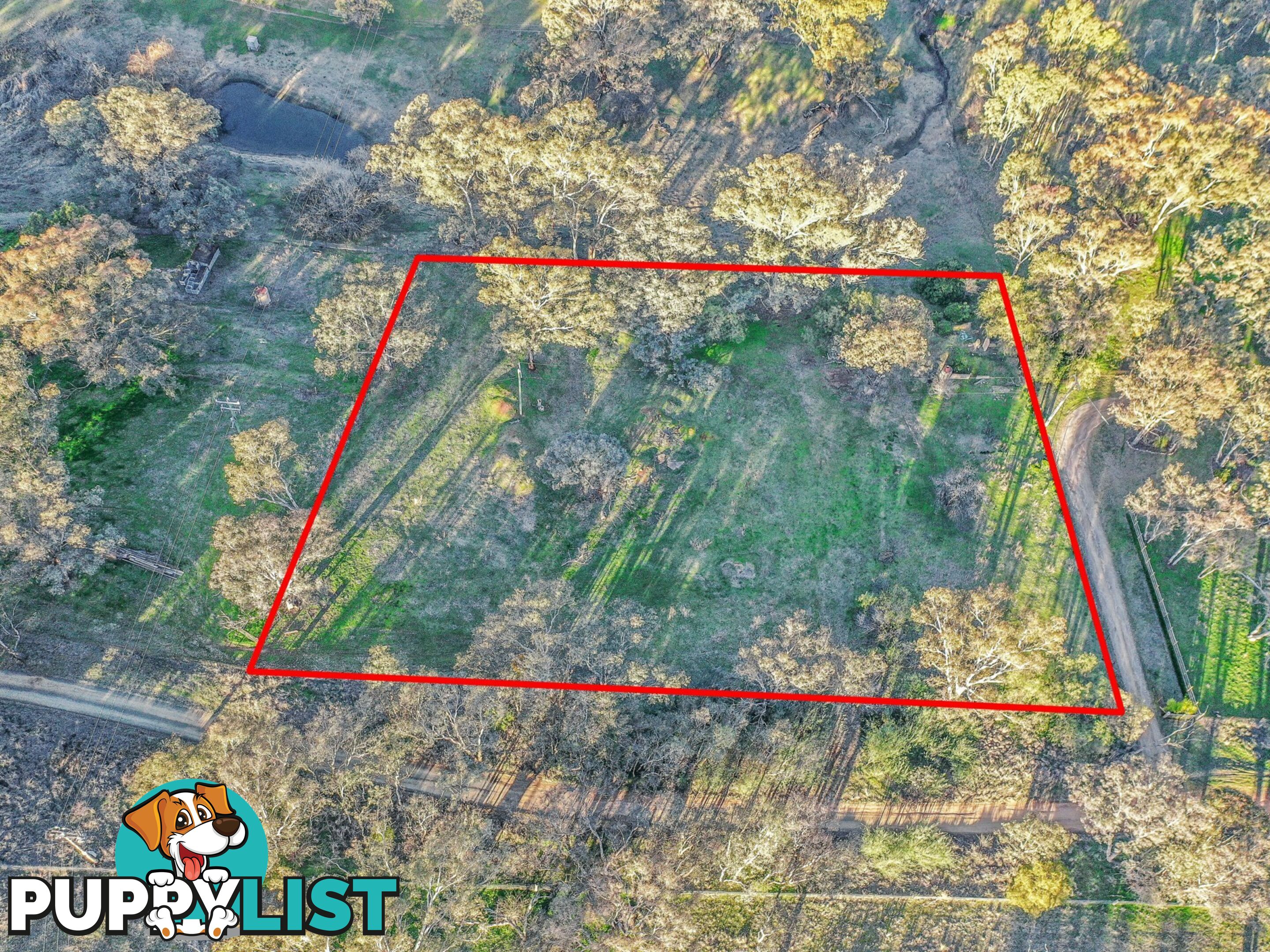 21 Dairymans Lane YOUNG NSW 2594