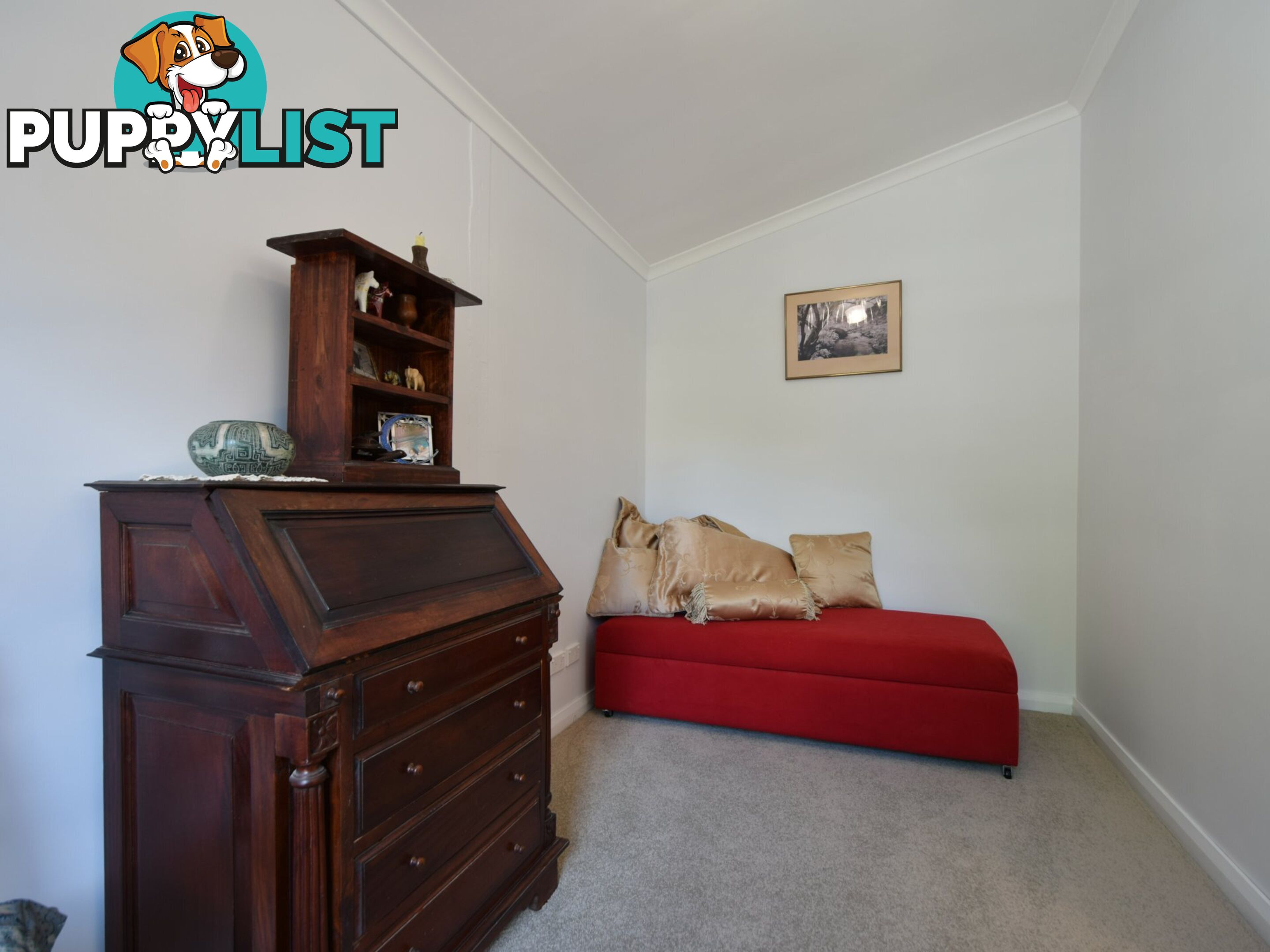 69 Brock Street YOUNG NSW 2594