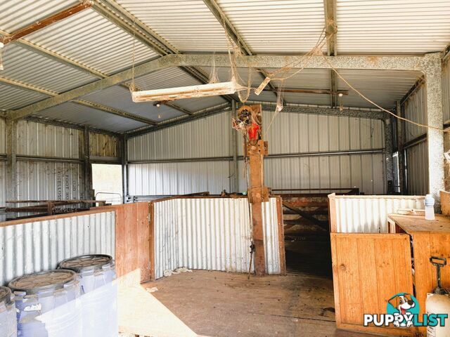 146 Bibaringa Road WOMBAT NSW 2587