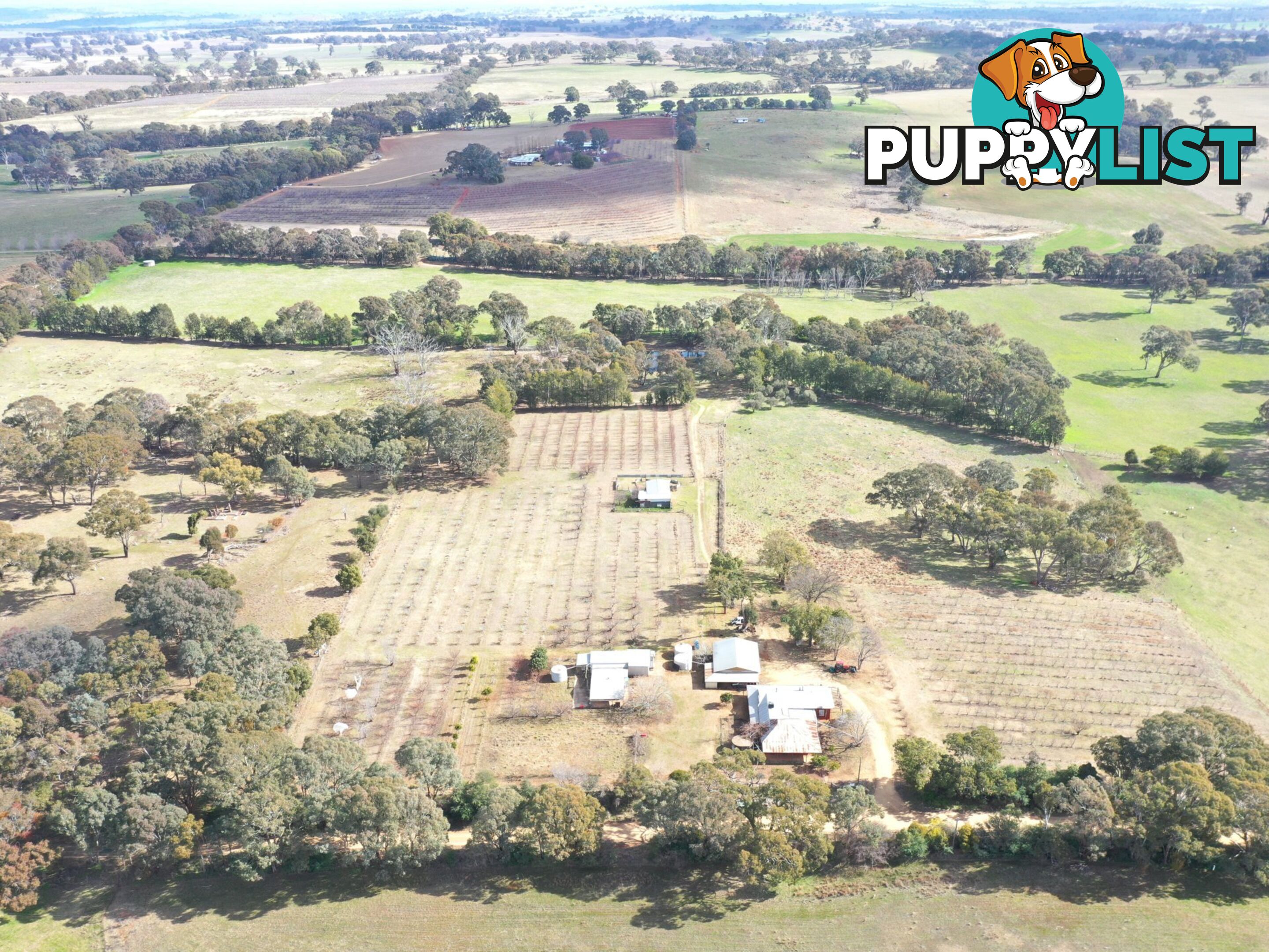 146 Bibaringa Road WOMBAT NSW 2587