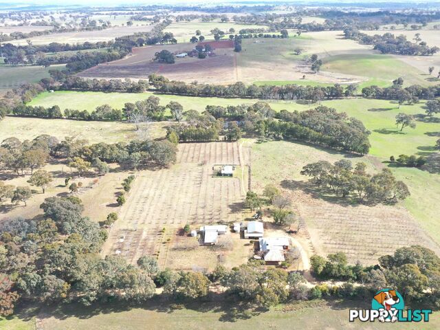 146 Bibaringa Road WOMBAT NSW 2587