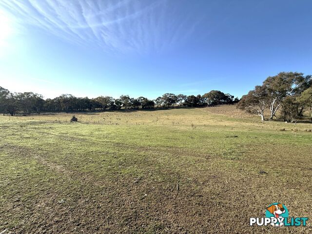 146 Bibaringa Road WOMBAT NSW 2587