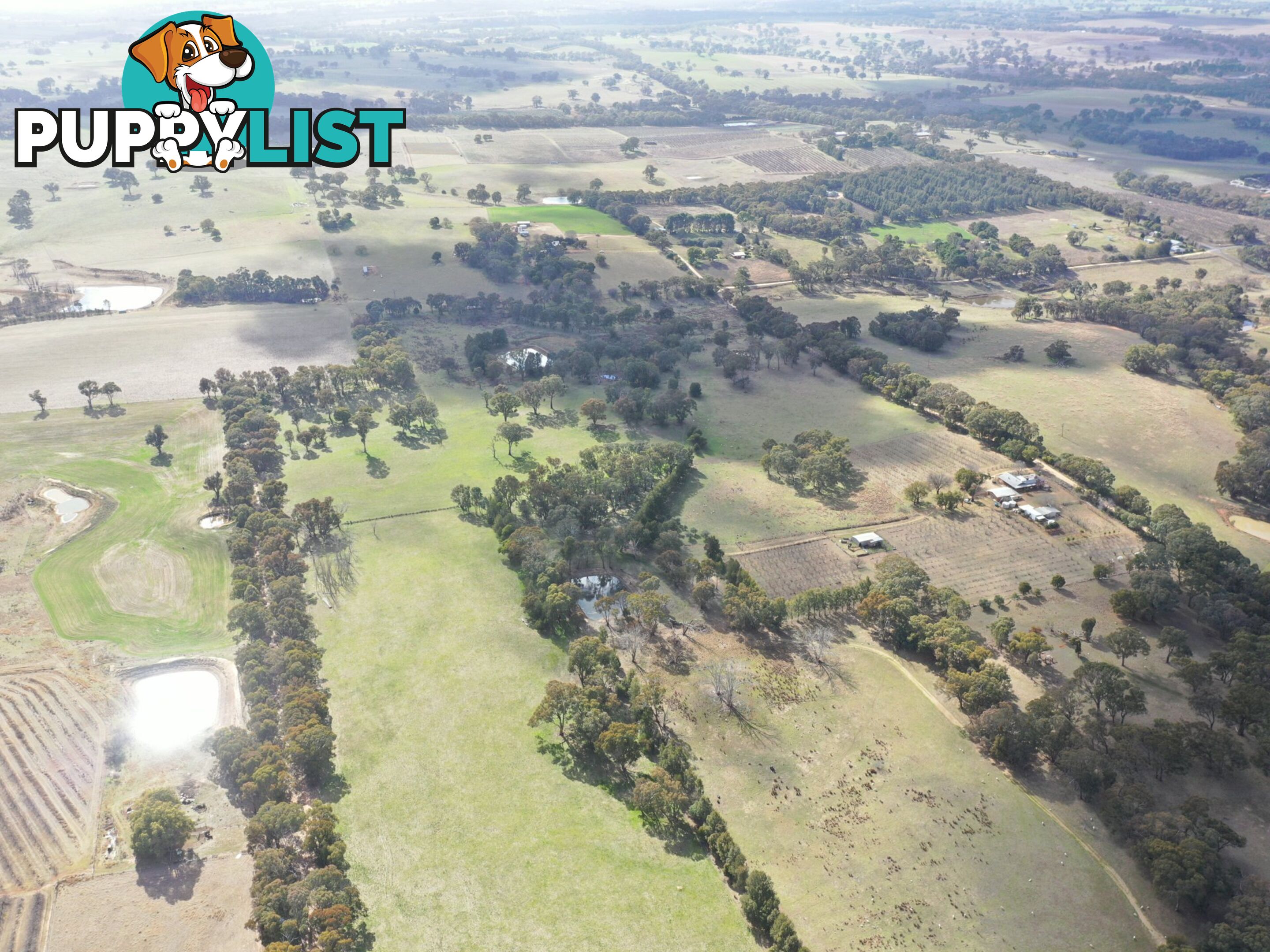 146 Bibaringa Road WOMBAT NSW 2587