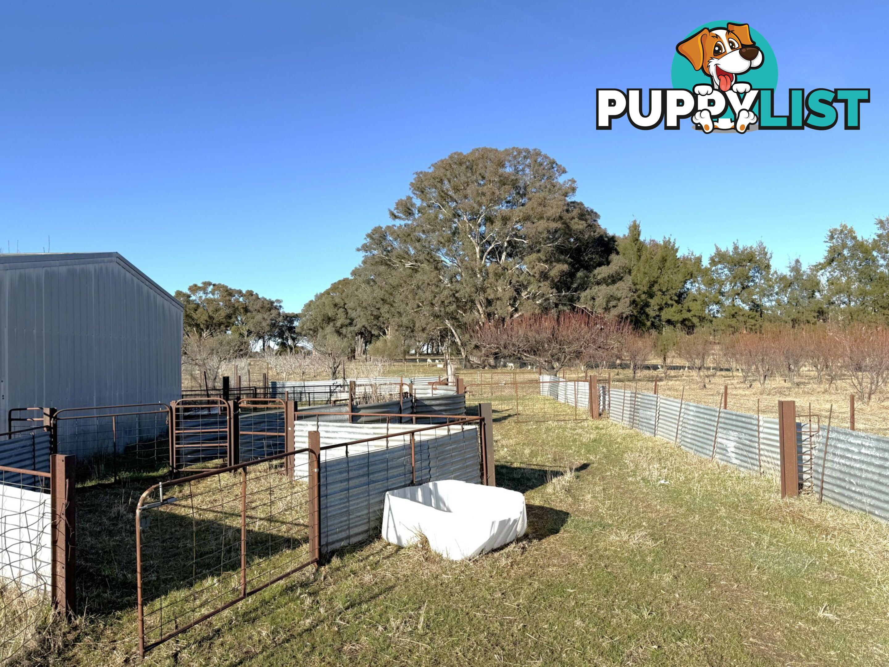 146 Bibaringa Road WOMBAT NSW 2587
