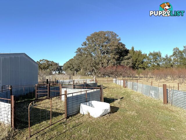 146 Bibaringa Road WOMBAT NSW 2587