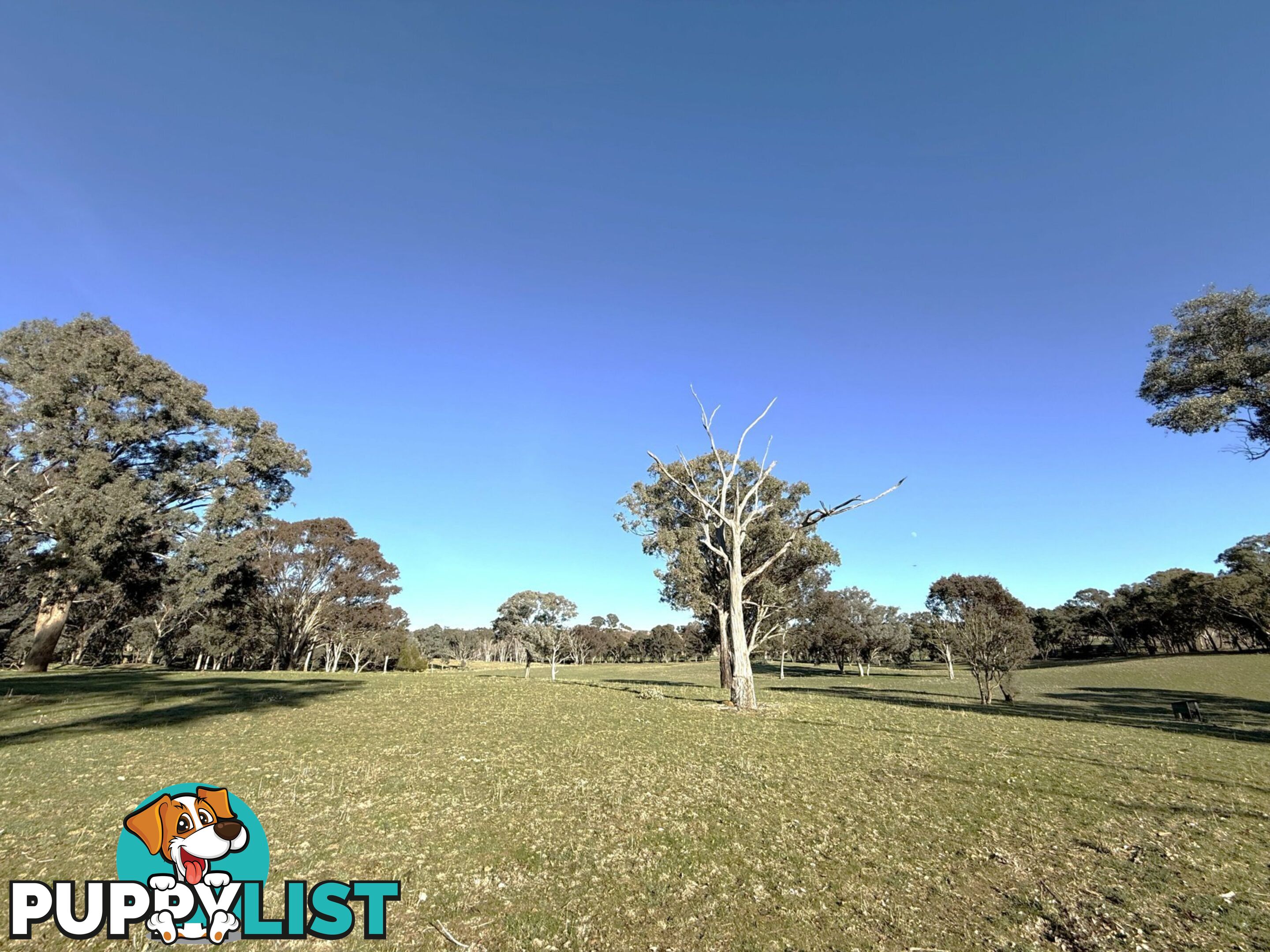 146 Bibaringa Road WOMBAT NSW 2587