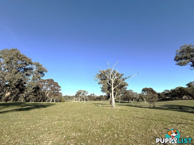 146 Bibaringa Road WOMBAT NSW 2587