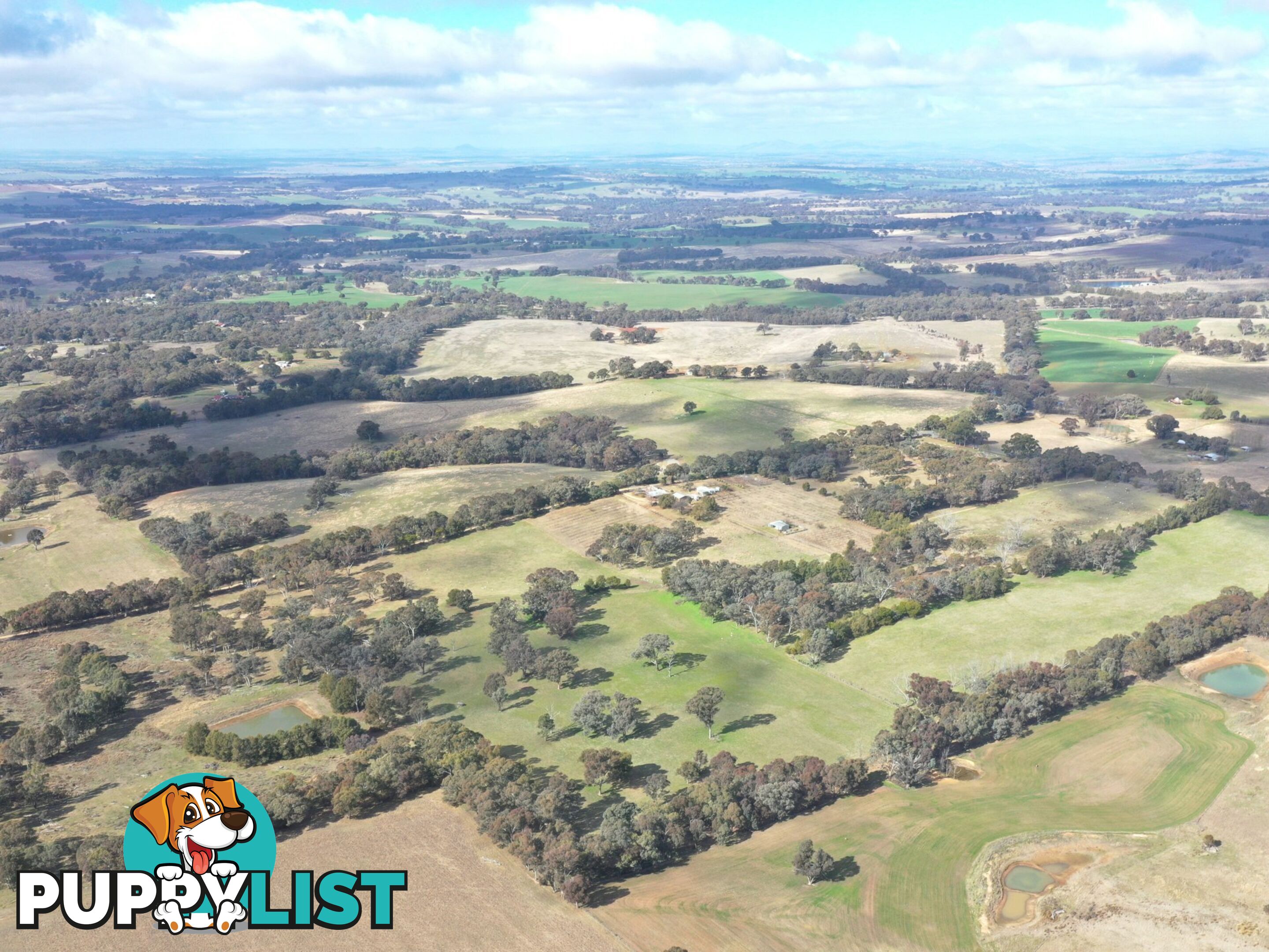 146 Bibaringa Road WOMBAT NSW 2587