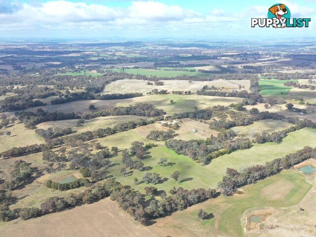 146 Bibaringa Road WOMBAT NSW 2587