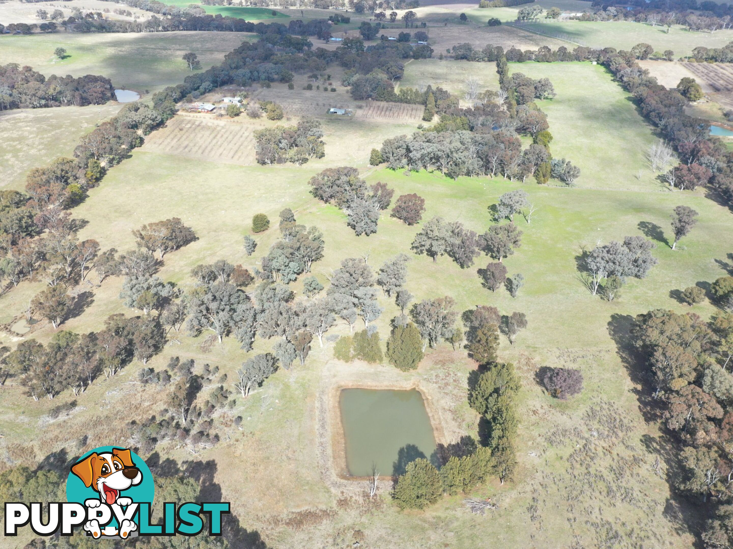 146 Bibaringa Road WOMBAT NSW 2587