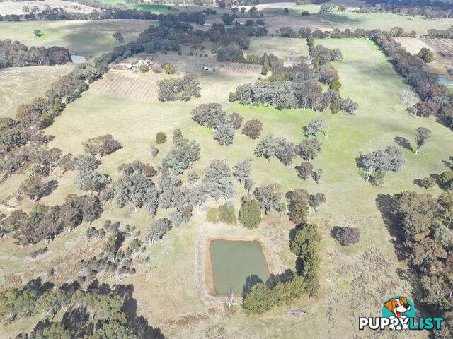 146 Bibaringa Road WOMBAT NSW 2587