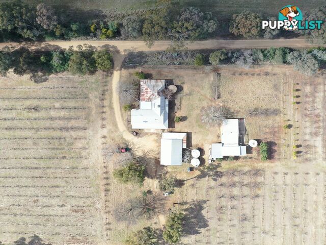 146 Bibaringa Road WOMBAT NSW 2587