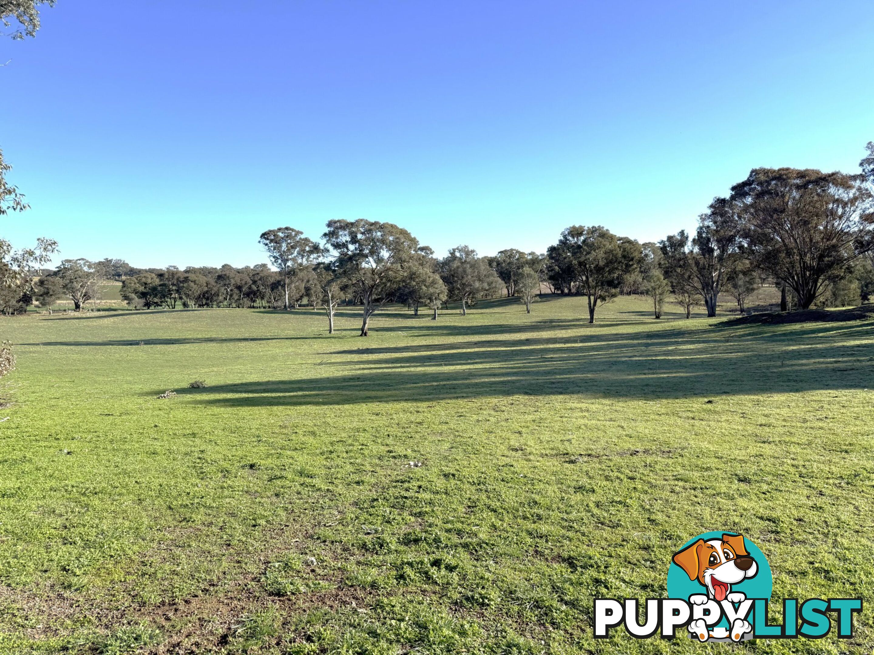 146 Bibaringa Road WOMBAT NSW 2587