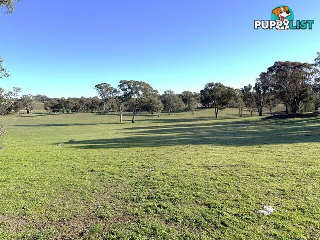 146 Bibaringa Road WOMBAT NSW 2587