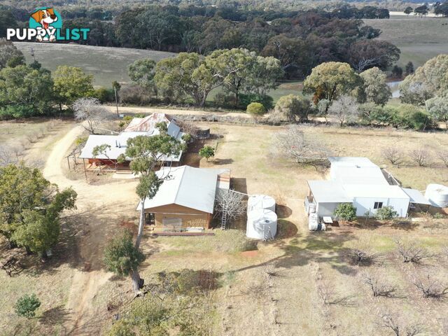 146 Bibaringa Road WOMBAT NSW 2587
