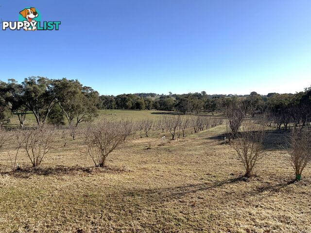 146 Bibaringa Road WOMBAT NSW 2587
