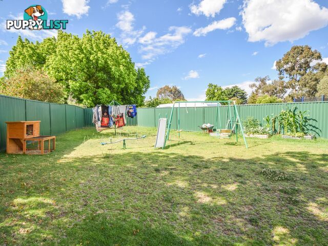 7 Molloy Place YOUNG NSW 2594