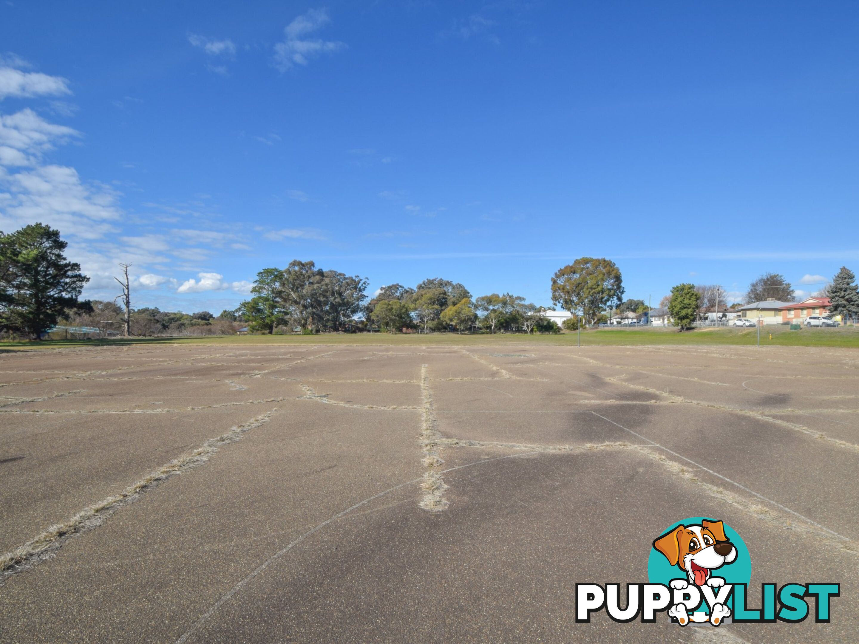 23-39 Miro Street YOUNG NSW 2594