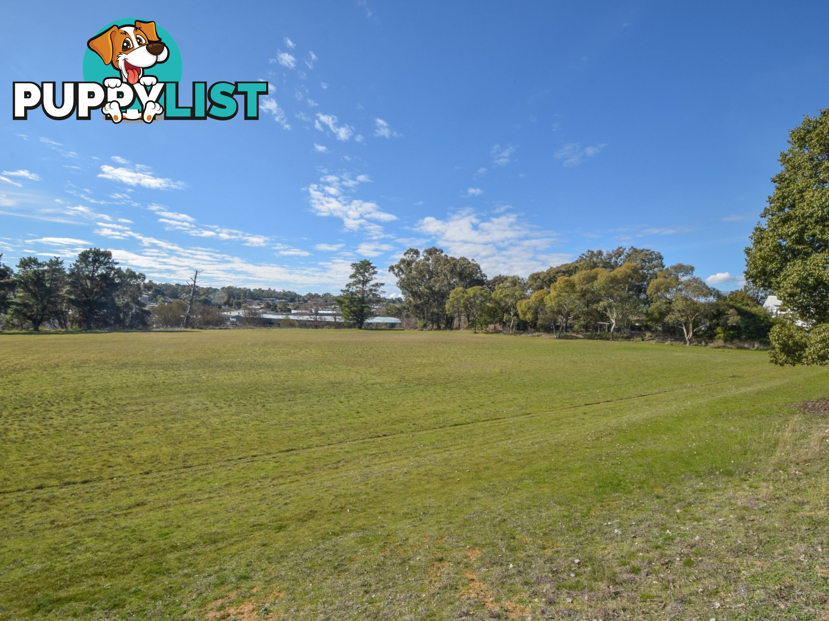23-39 Miro Street YOUNG NSW 2594