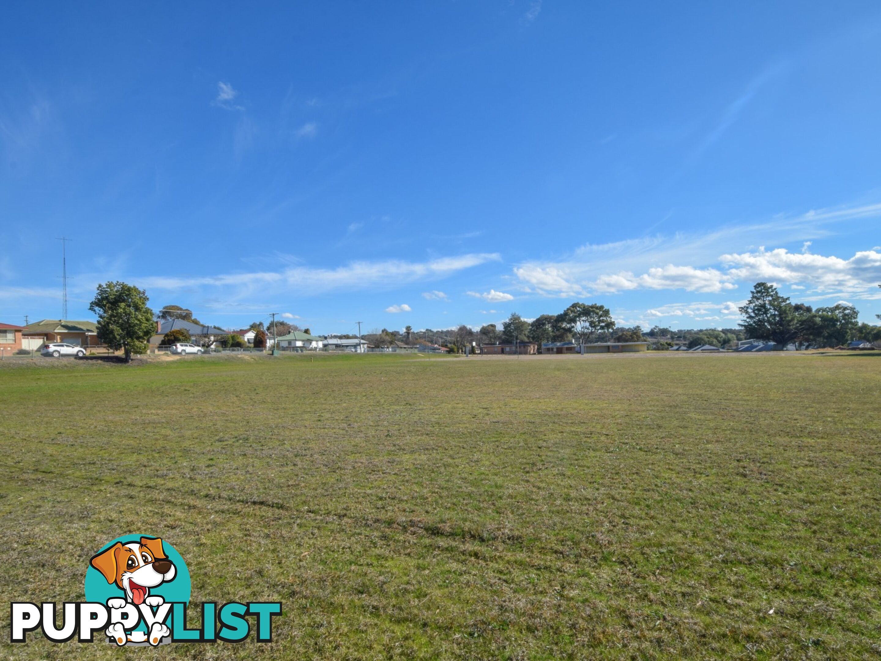 23-39 Miro Street YOUNG NSW 2594