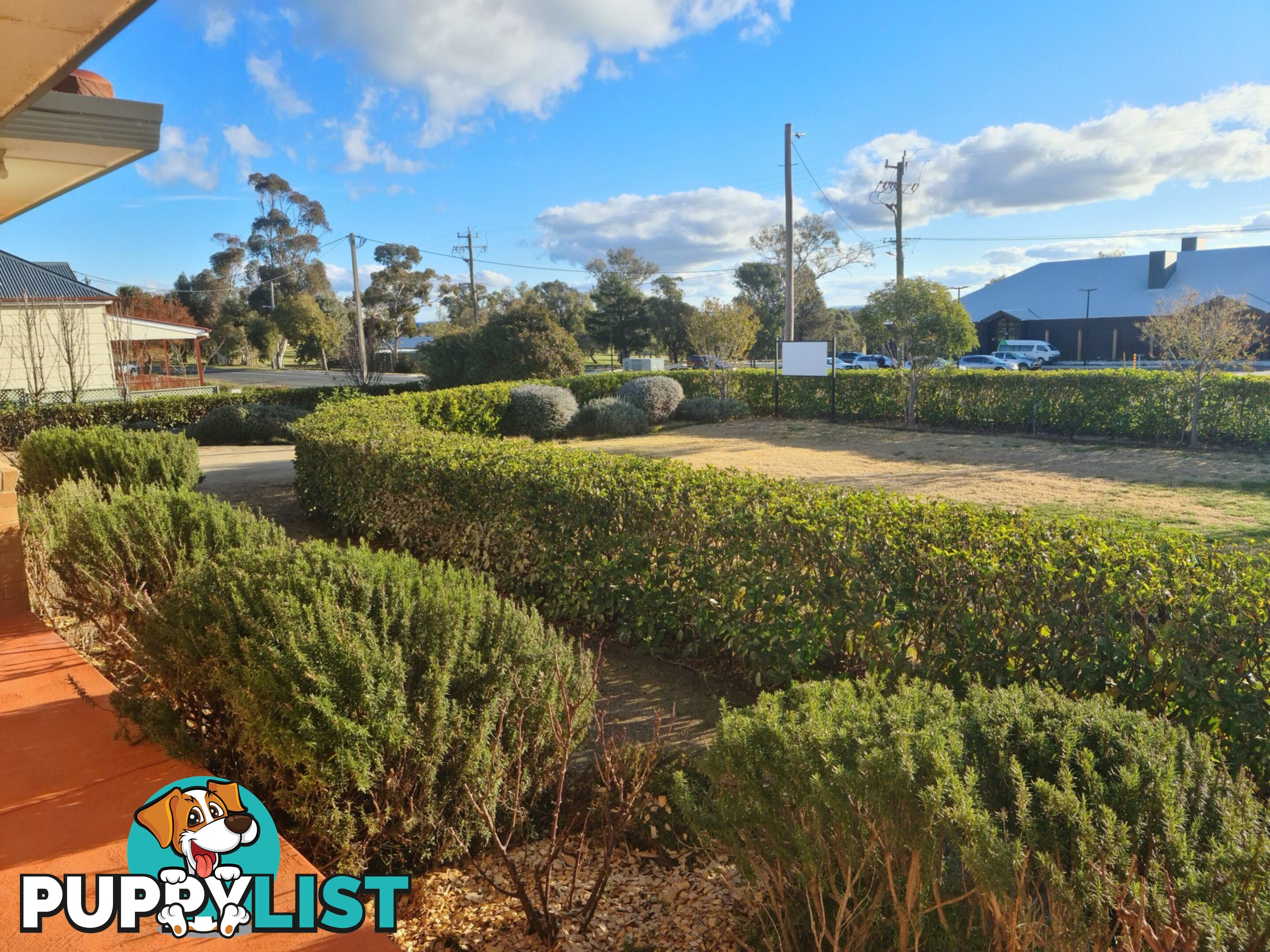 56 East Street HARDEN NSW 2587