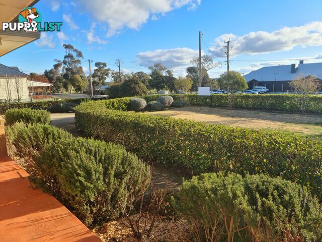 56 East Street HARDEN NSW 2587