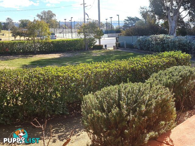 56 East Street HARDEN NSW 2587