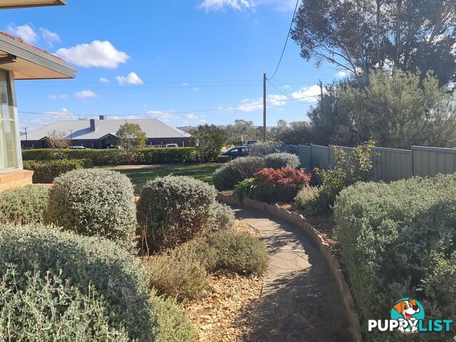56 East Street HARDEN NSW 2587