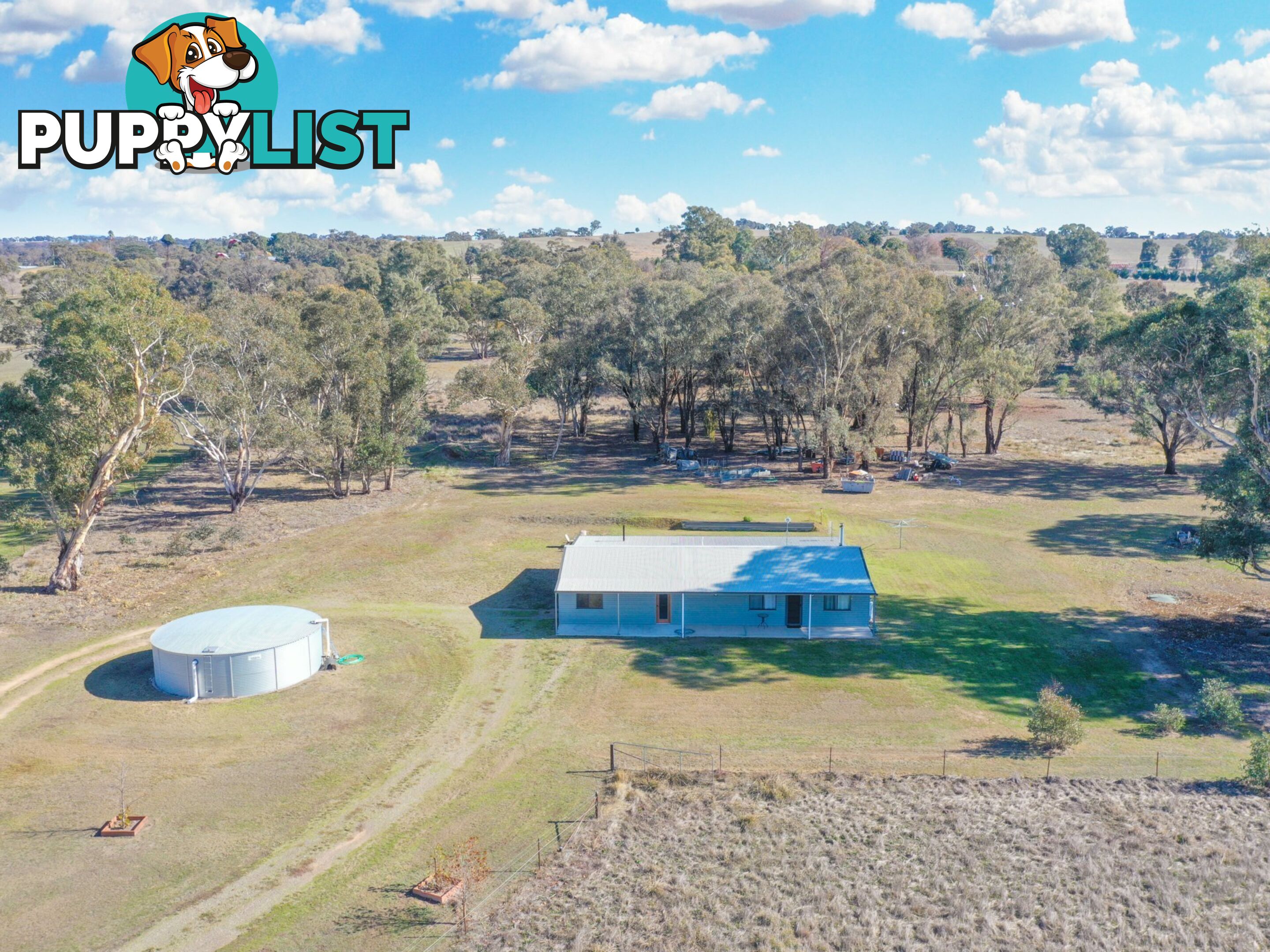 51 Wambanumba Drive YOUNG NSW 2594