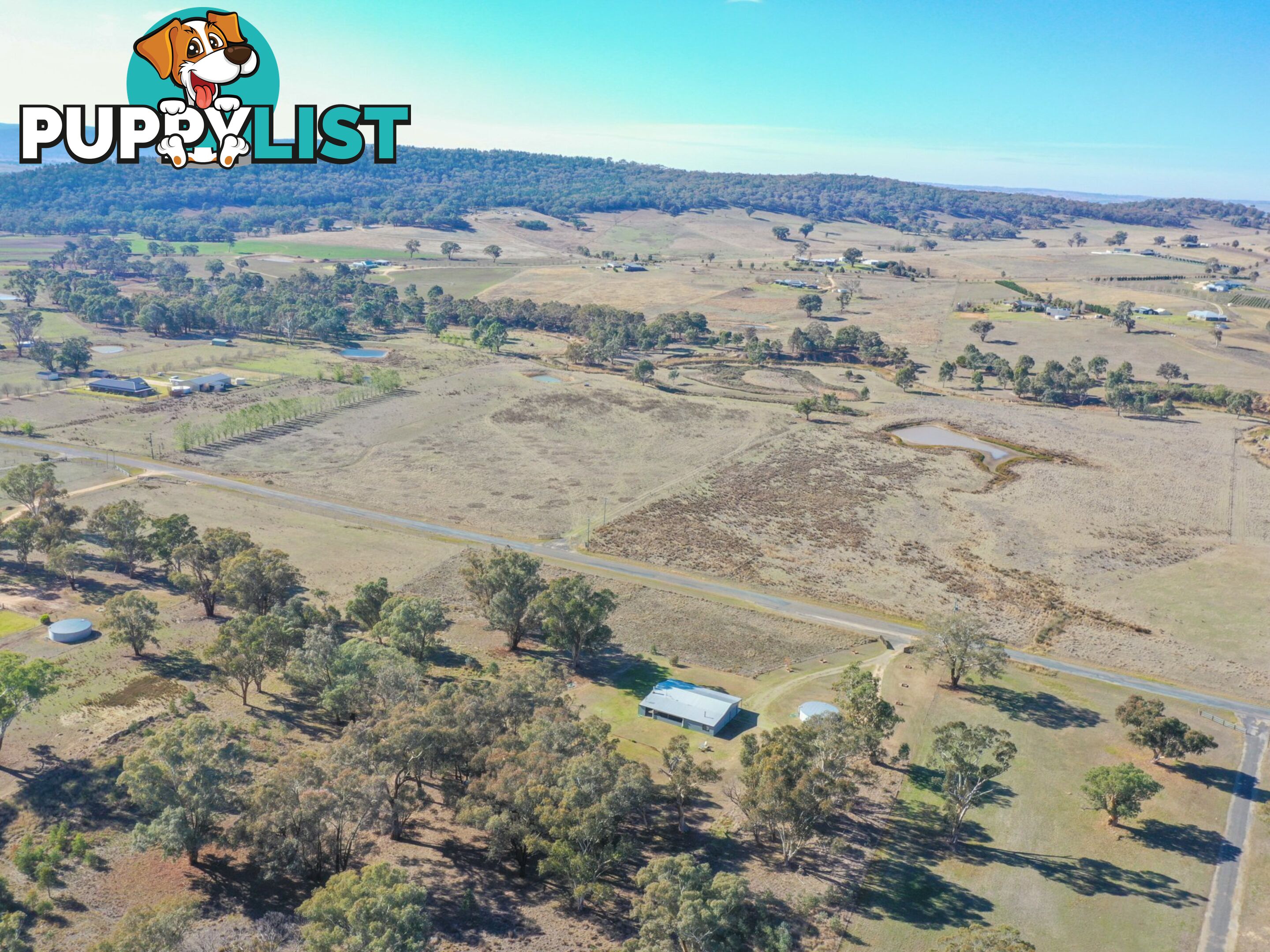 51 Wambanumba Drive YOUNG NSW 2594