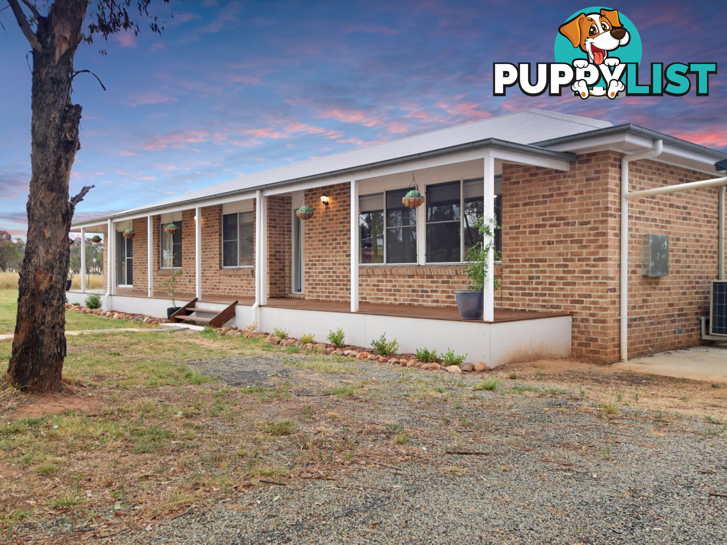 62 Bendick Murrell Road YOUNG NSW 2594