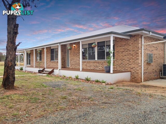 62 Bendick Murrell Road YOUNG NSW 2594