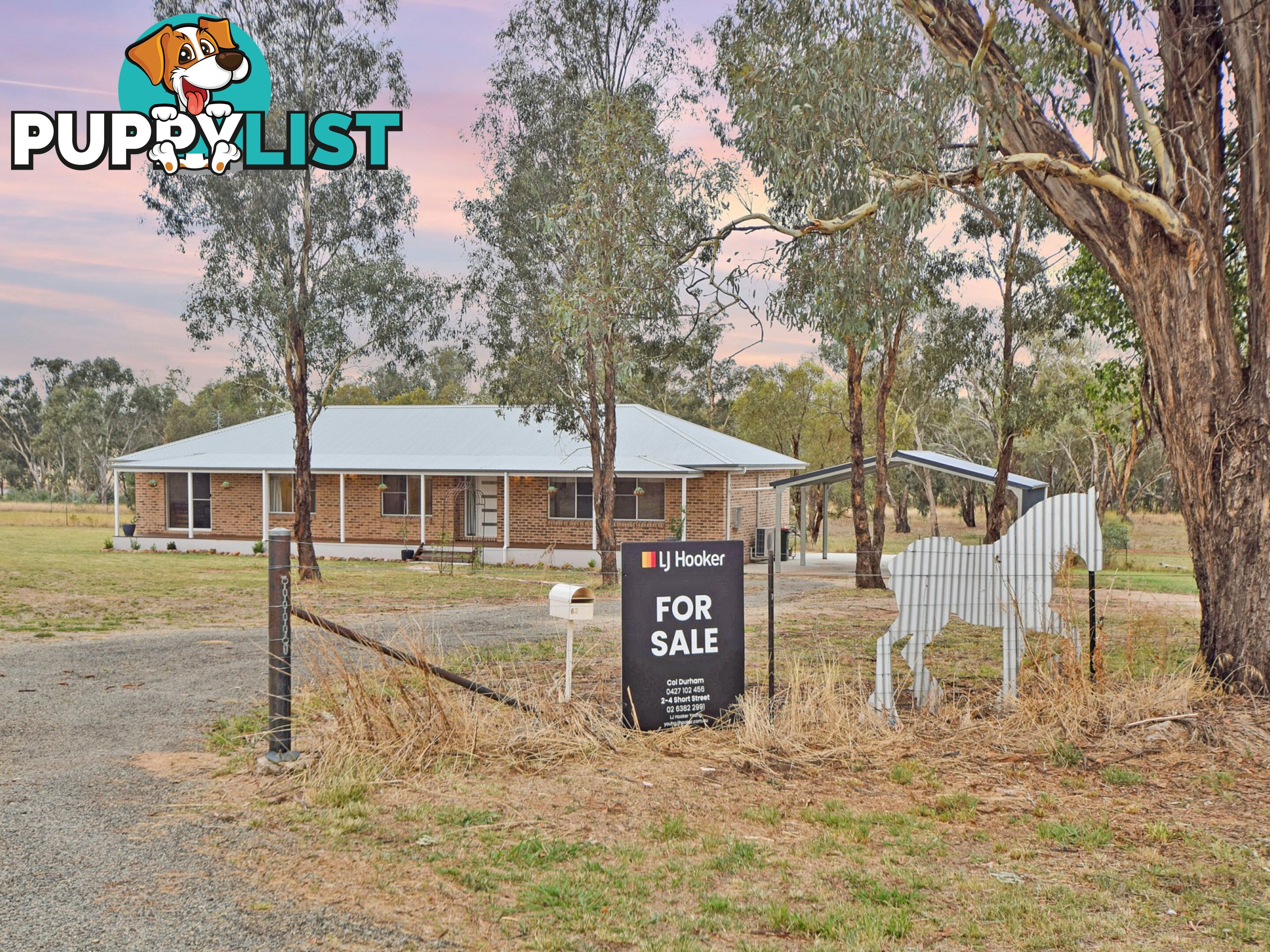 62 Bendick Murrell Road YOUNG NSW 2594