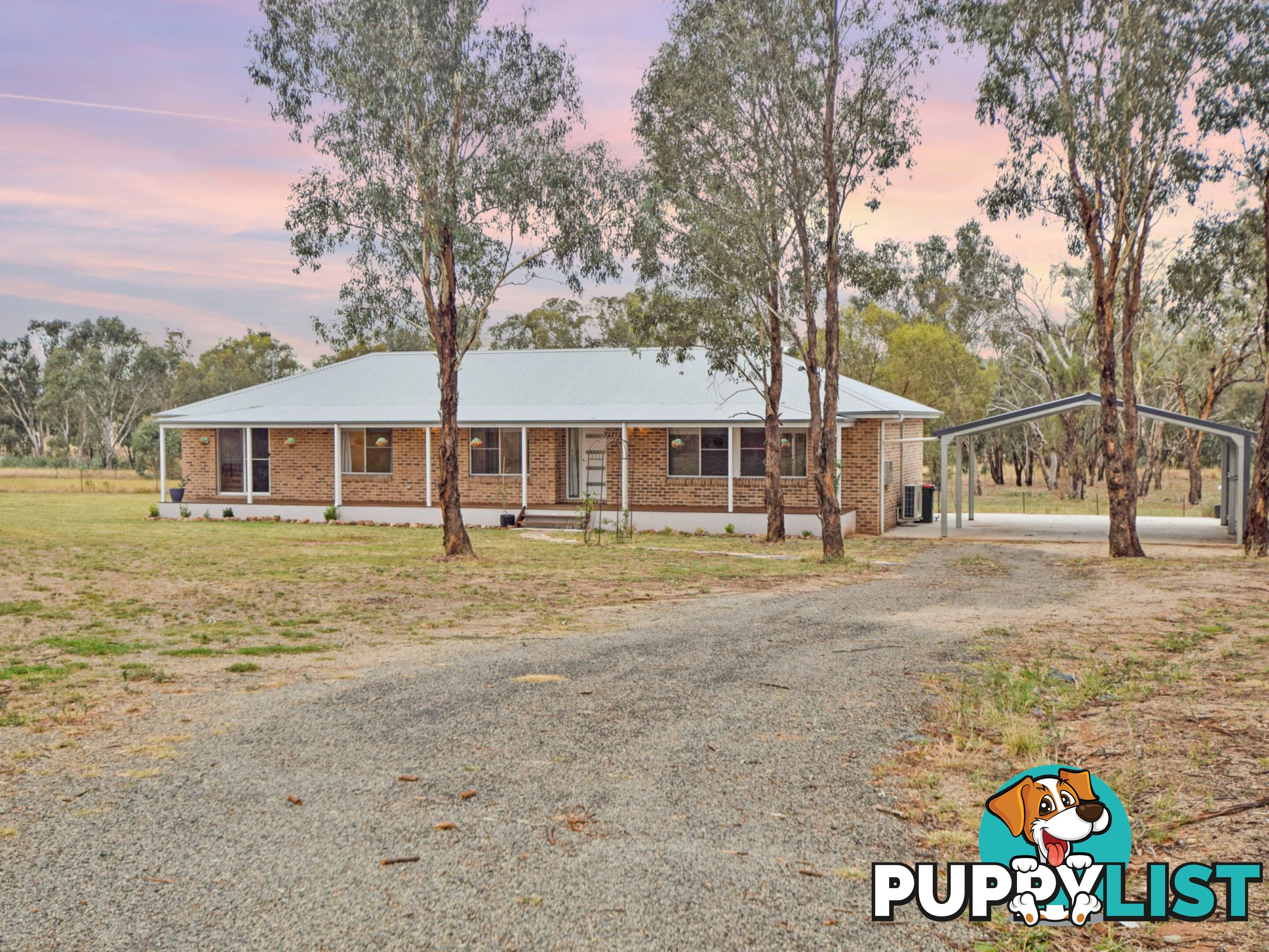 62 Bendick Murrell Road YOUNG NSW 2594