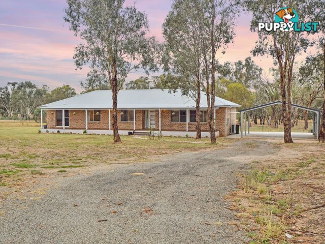 62 Bendick Murrell Road YOUNG NSW 2594